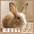 bunnies